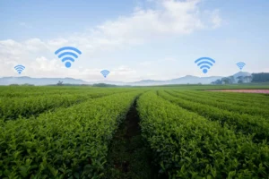 internet rural